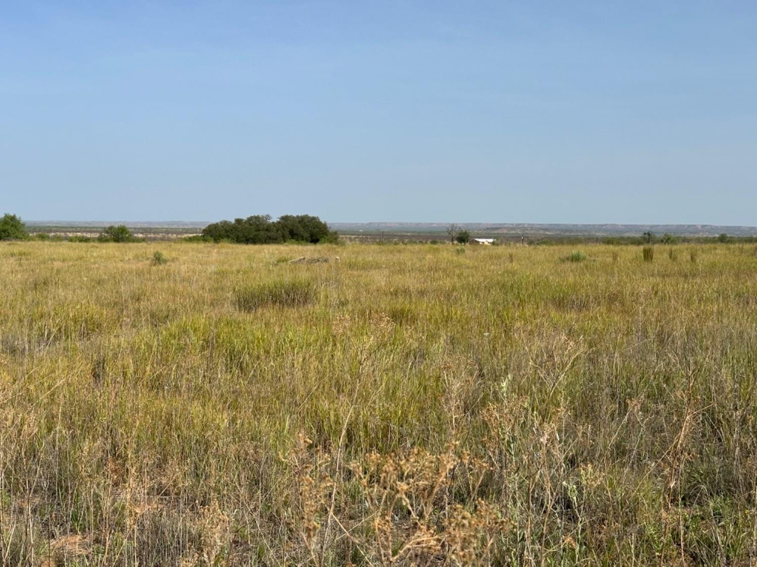 0 Fm 651 Post, TX 79356 - Photo 32 of 40 Photo 32