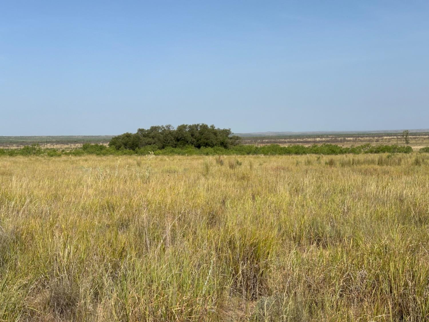 0 Fm 651 Post, TX 79356 - Photo 33 of 40 Photo 33