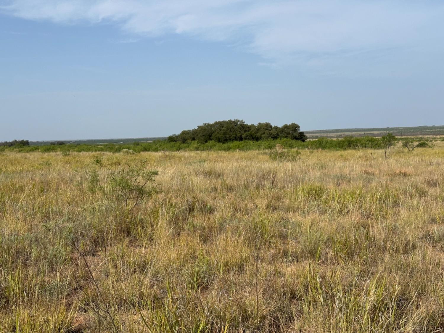 0 Fm 651 Post, TX 79356 - Photo 35 of 40 Photo 35