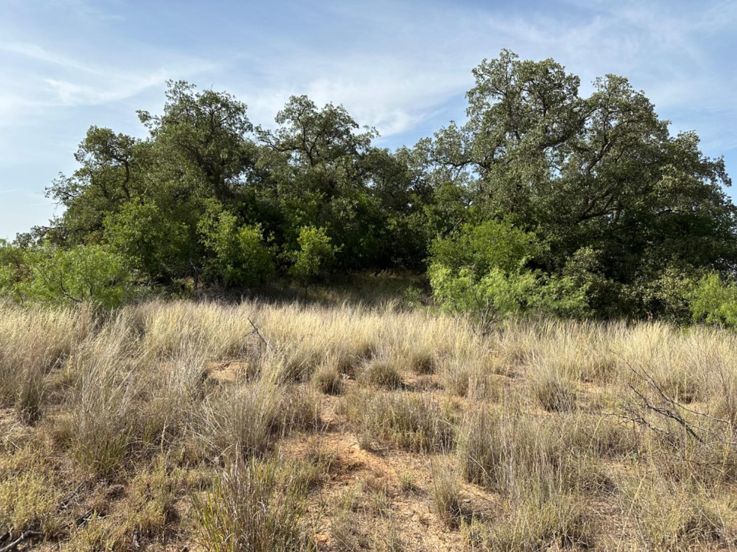 0 Fm 651 Post, TX 79356 - Photo 36 of 40 Photo 36