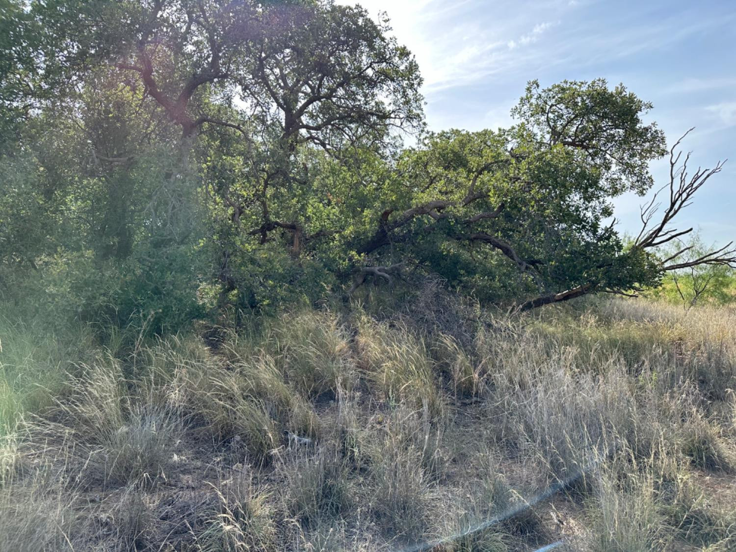 0 Fm 651 Post, TX 79356 - Photo 38 of 40 Photo 38