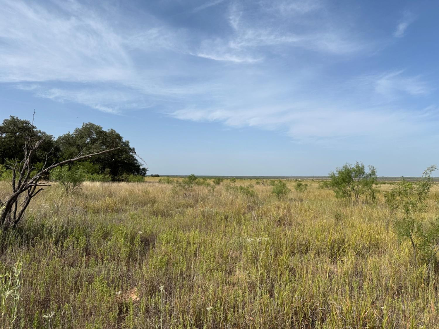 0 Fm 651 Post, TX 79356 - Photo 39 of 40 Photo 39