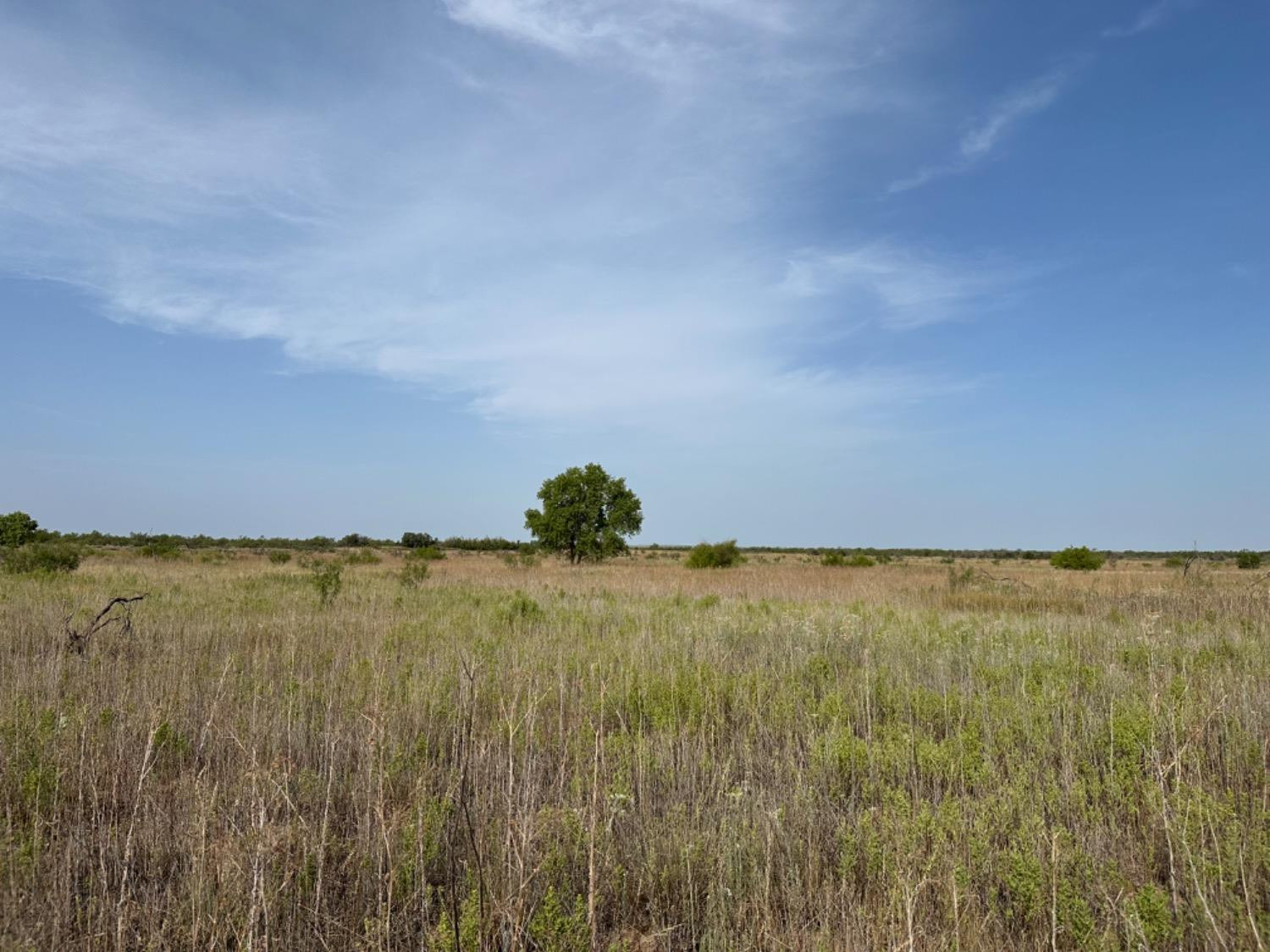 0 Fm 651 Post, TX 79356 - Photo 40 of 40 Photo 40