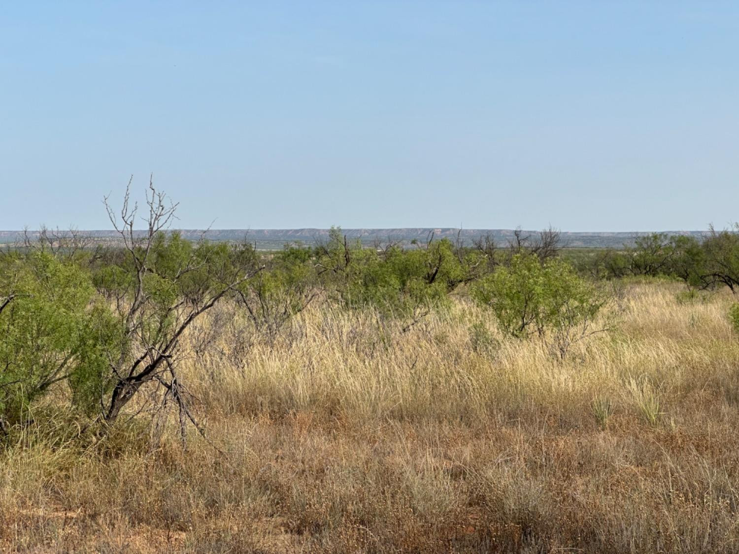 0 Fm 651 Post, TX 79356 - Photo 7 of 40 Photo 7