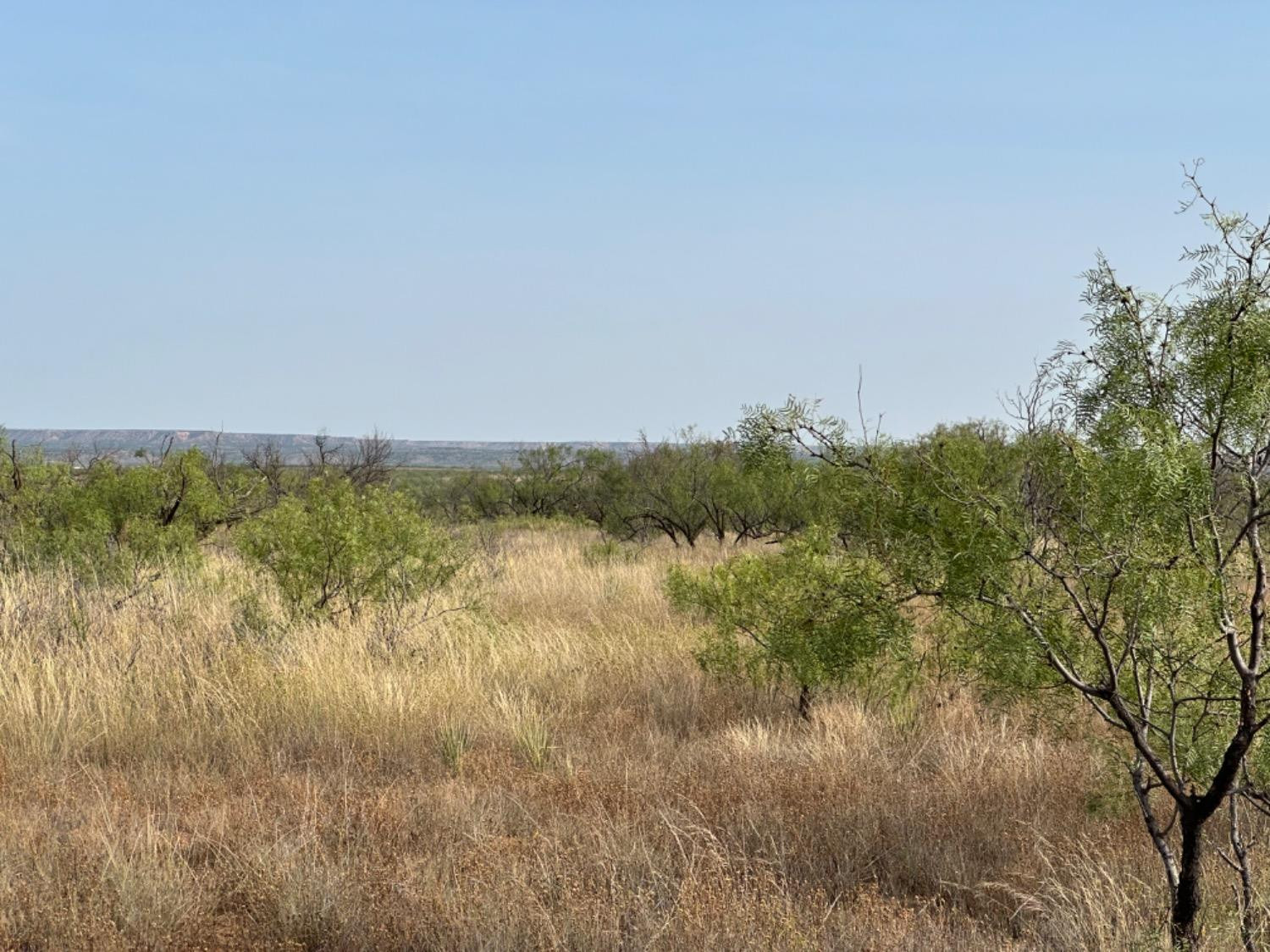 0 Fm 651 Post, TX 79356 - Photo 8 of 40 Photo 8