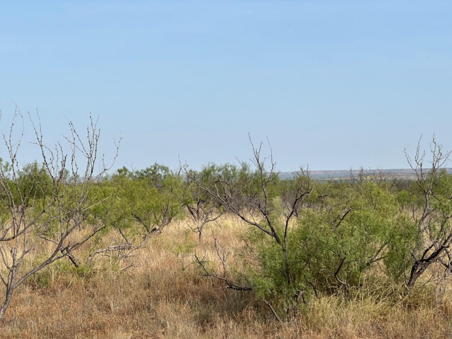 0 Fm 651 Post, TX 79356 - Photo 9 of 40 Photo 9