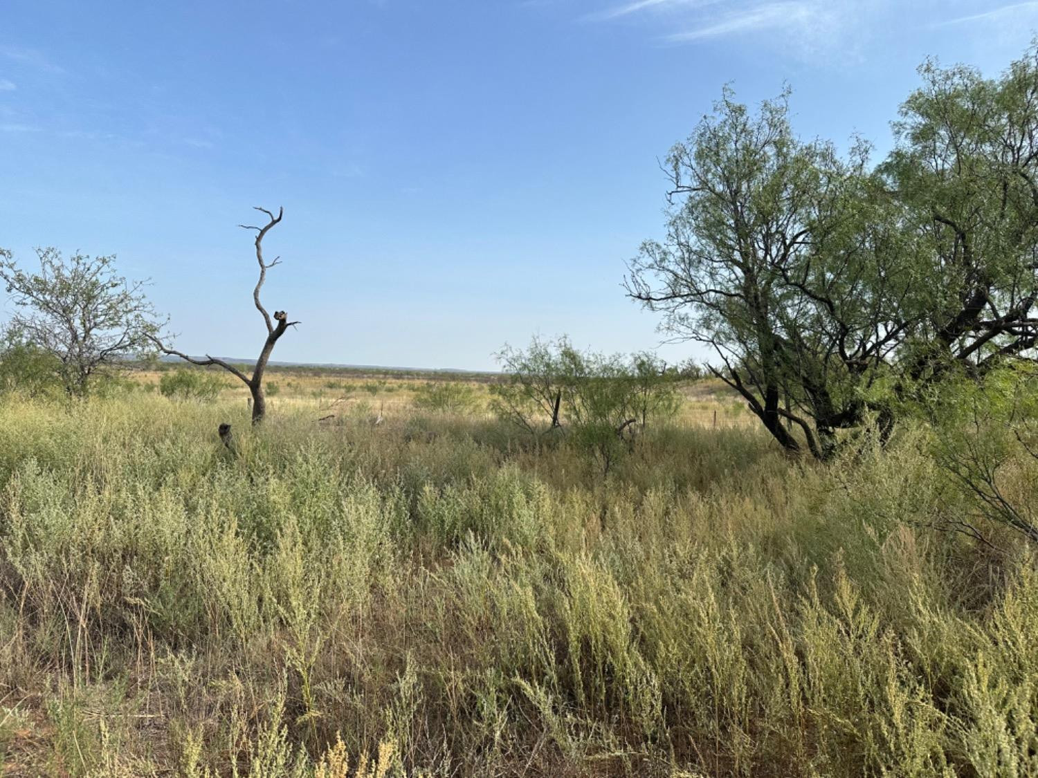 0 Fm 651 Post, TX 79356 - Photo 10 of 40 Photo 10