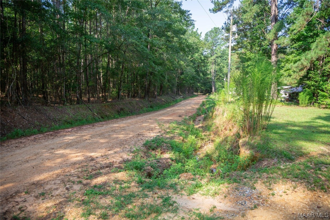 18.5-acres Free Road Brantley, AL 36009 - Photo 25 of 30 Gallery Image 25