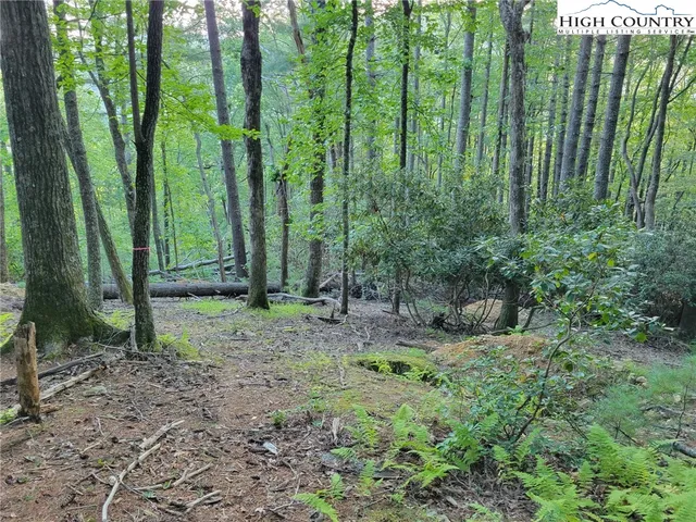 $620,000 | 6 Walnut Ridge, Vilas, NC 28692