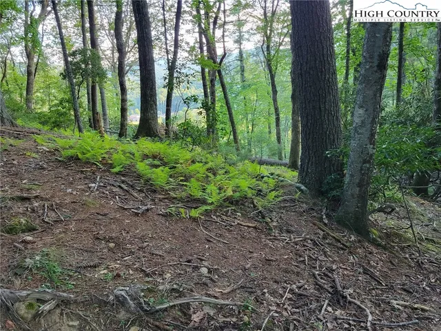 $620,000 | 6 Walnut Ridge, Vilas, NC 28692