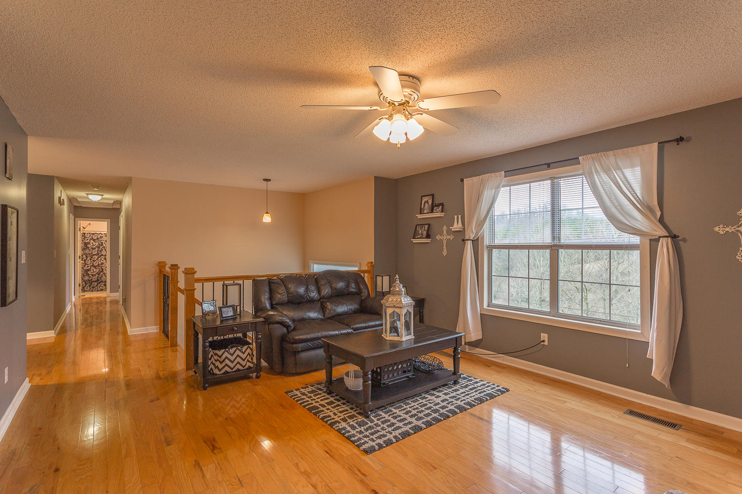 4314 McCahill Road Chattanooga, TN 37415 - Photo 11 of 35 gorgeous views from every front window