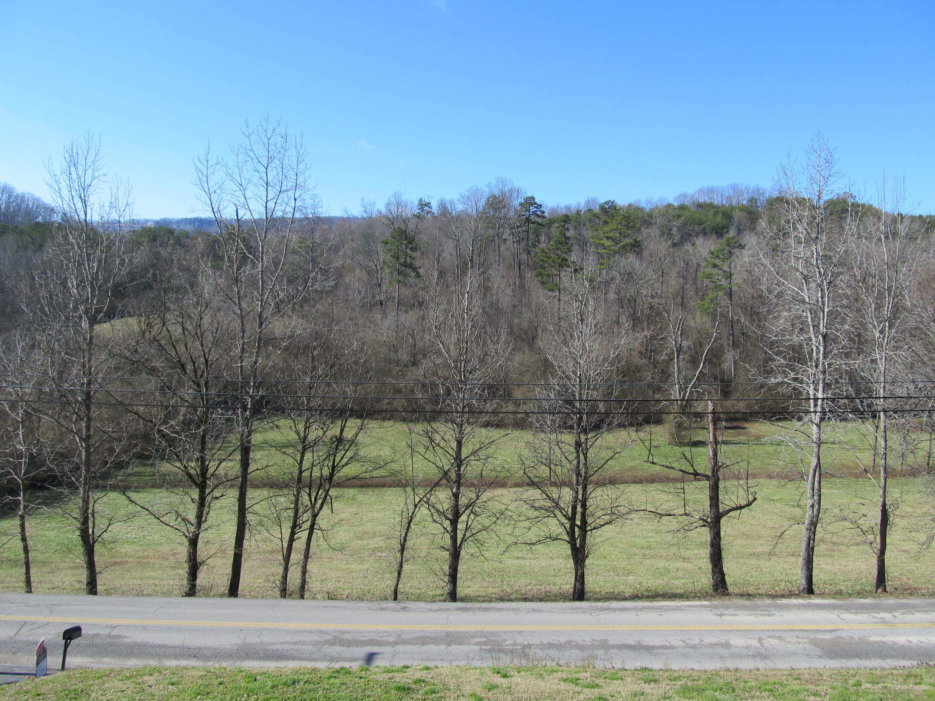 view from front porch