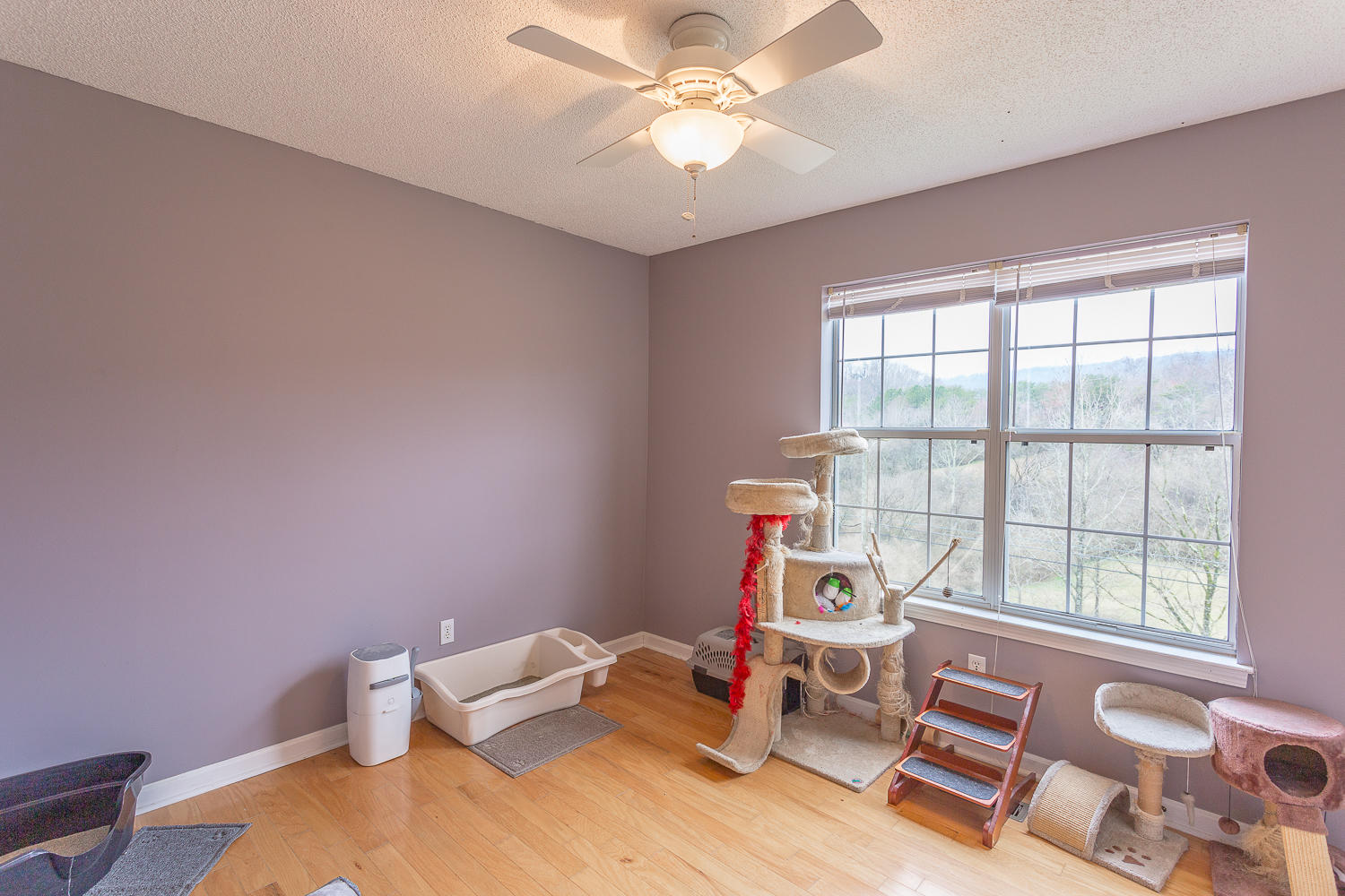 4314 McCahill Road Chattanooga, TN 37415 - Photo 30 of 35 3rd Bedroom