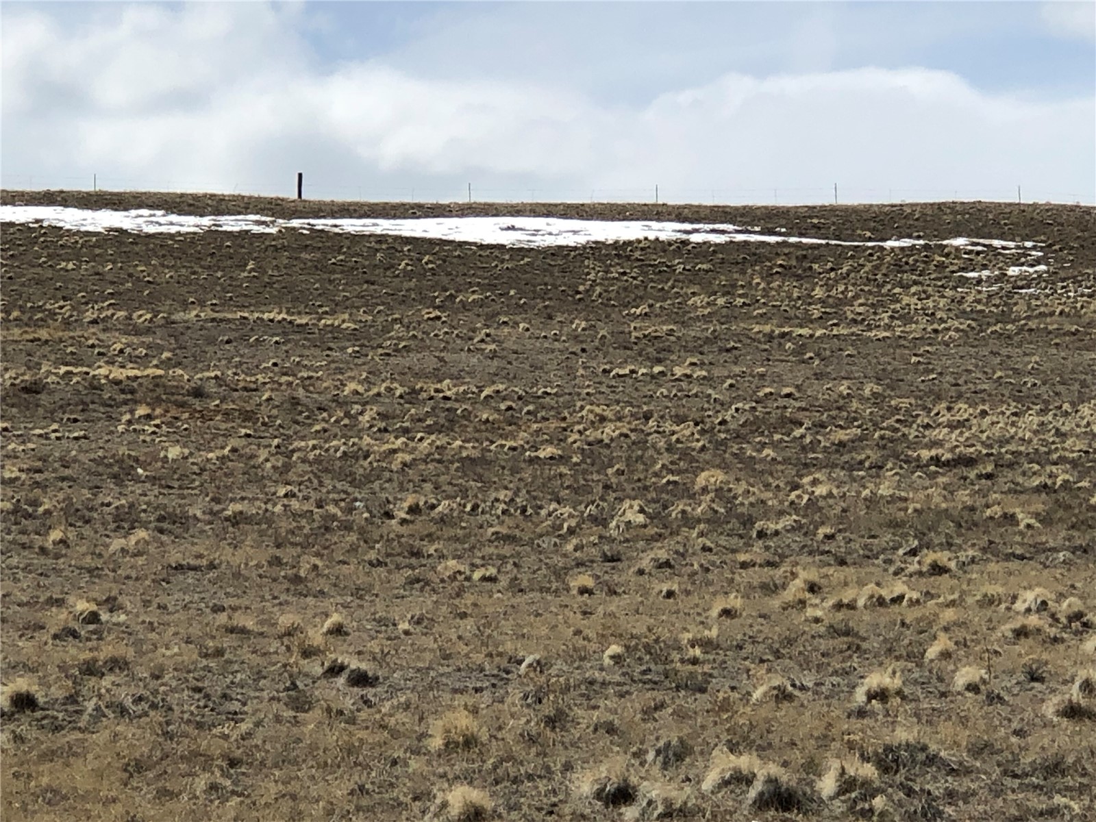 735 Link Road Como, CO 80432 - Photo 7 of 22
