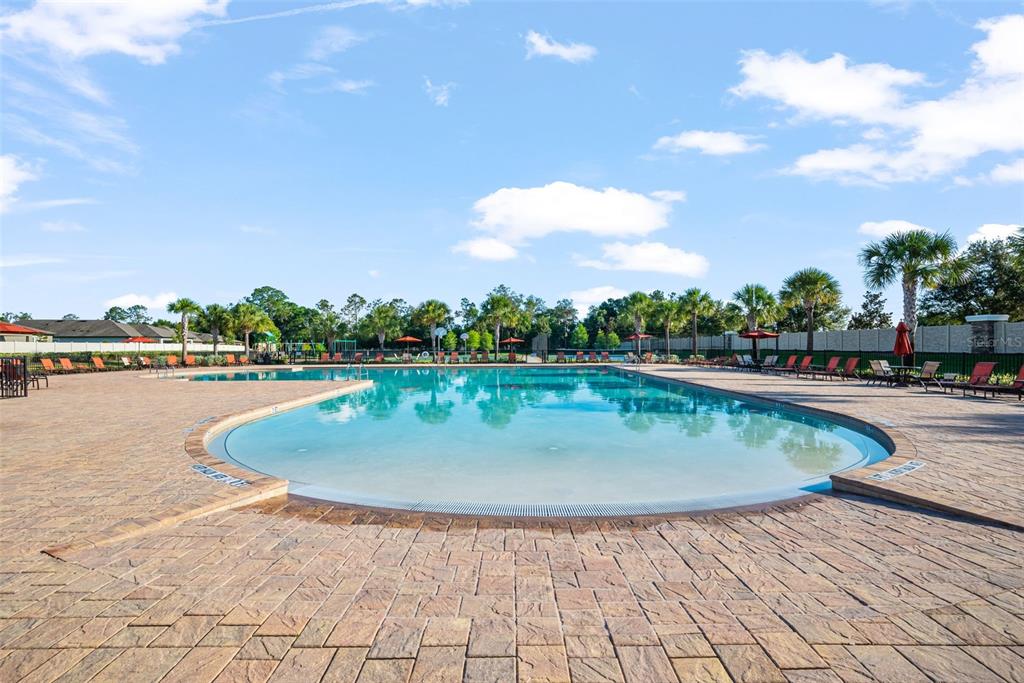 18908 Alfaro Loop Spring Hill, FL 34610 - Photo 41 of 51