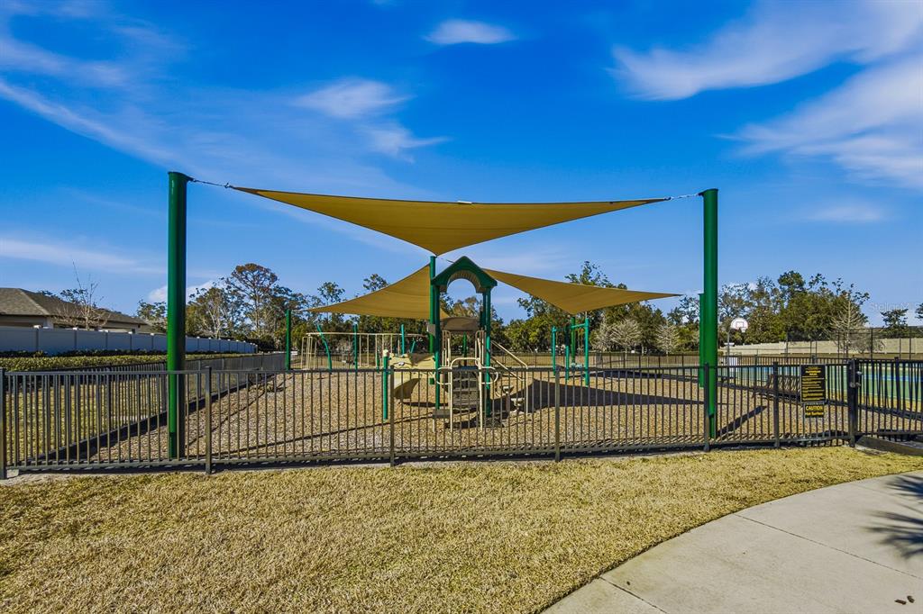 18908 Alfaro Loop Spring Hill, FL 34610 - Photo 48 of 51
