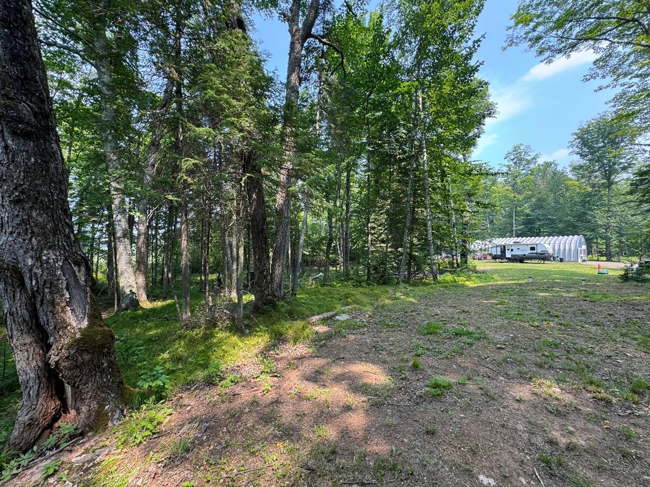 6293 Bambiland Road Mercer, WI 54547 - Photo 30 of 38 Gallery Image 30