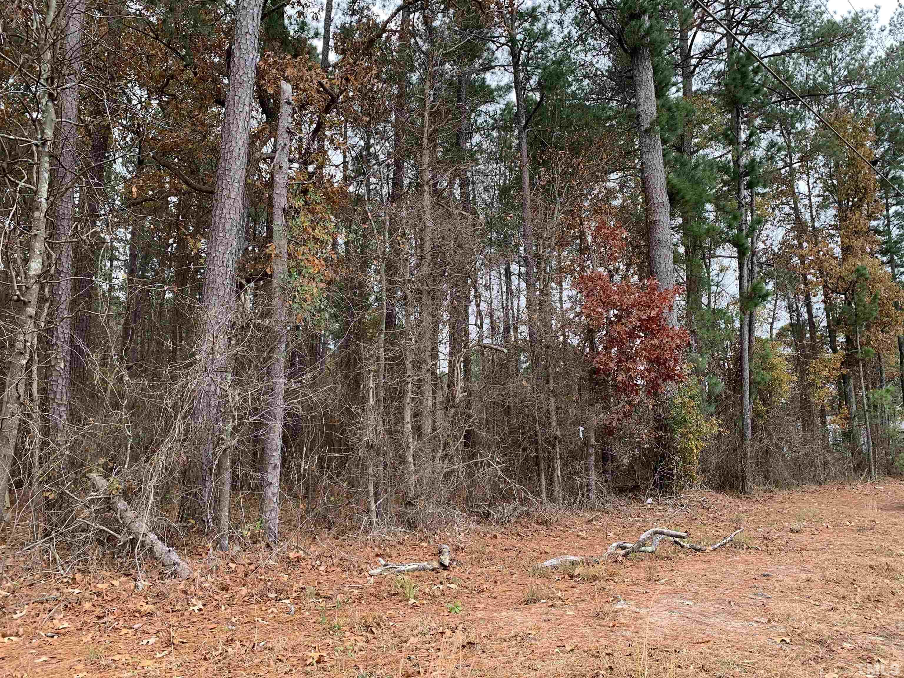 0 Hickory Crossroads Road Princeton, NC 27569 - Photo 2 of 5 Gallery Image 2
