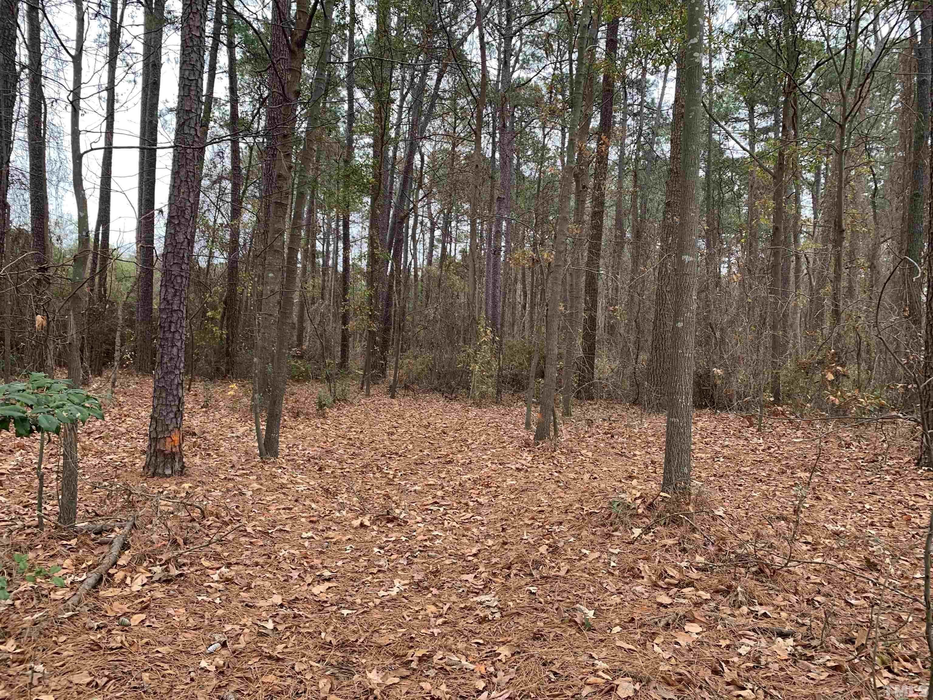 0 Hickory Crossroads Road Princeton, NC 27569 - Photo 3 of 5 Gallery Image 3