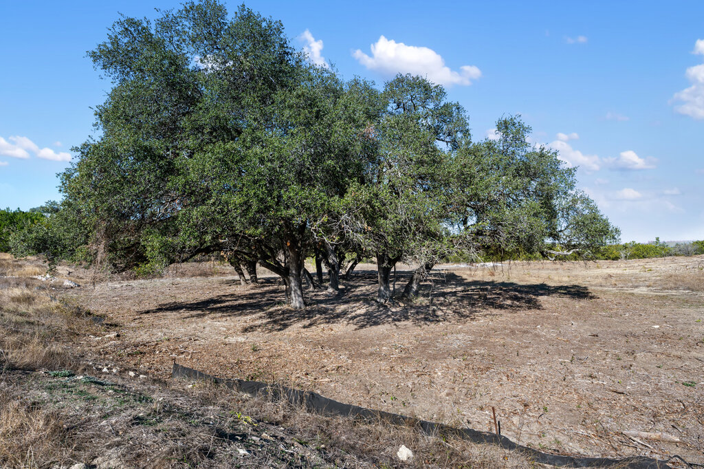166 Whispering Wind Road Bertram, TX 78605 - Photo 9 of 10