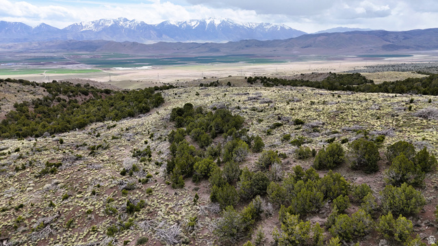123 West Tbd Willow Spring Road Eureka, UT 84628 - Photo 52 of 60 Expansive natural landscape featuring scattered juniper trees and low-lying vegetation