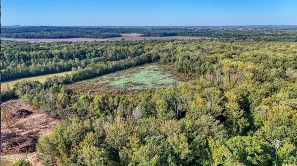 a view of a field with an ocean