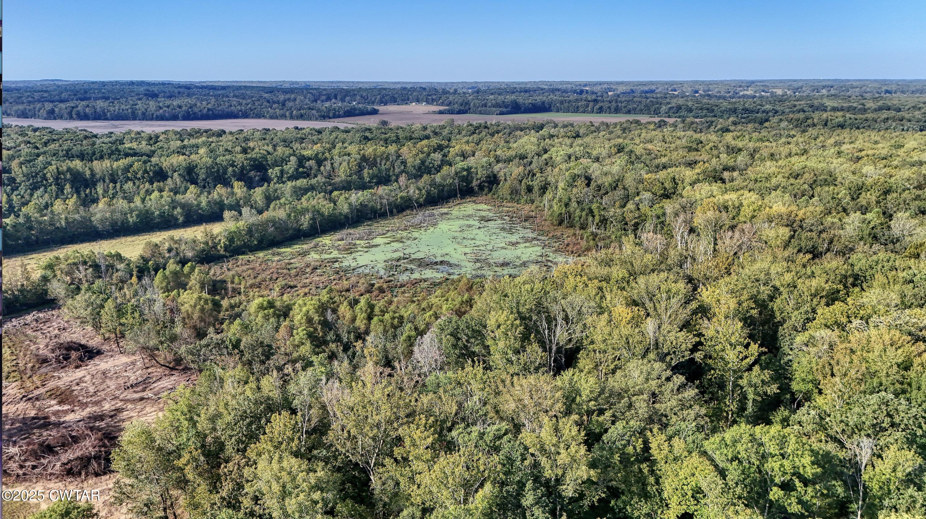 512 West Mitchell Road Greenfield, TN 38230 - Photo 2 of 9 a view of a field with an ocean