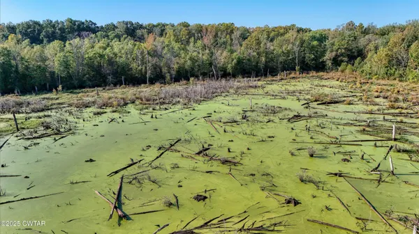 a view of a yard with mountain view