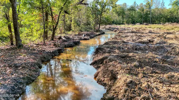 a view of a lake with trees