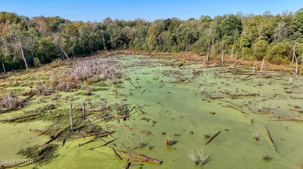 a view of a yard with a tree