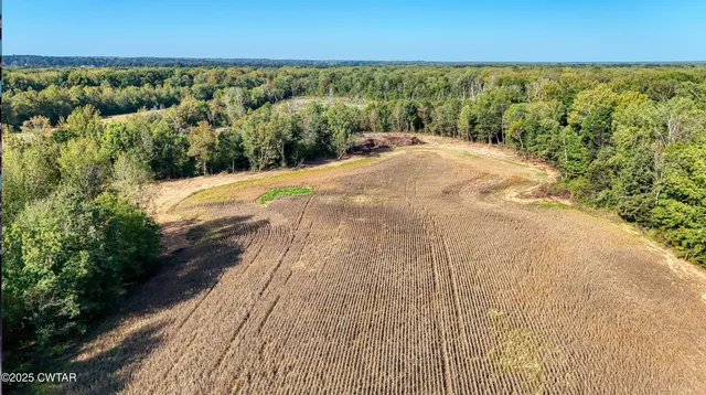 a view of an outdoor space and a yard