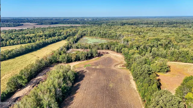 a view of a lake with a garden