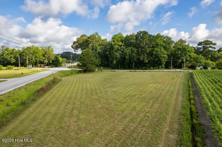 0 Alligator Loop Road Merritt, NC 28556 - Photo 11 of 12