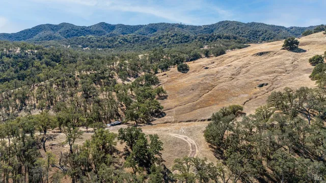 a view of a yard covered with snow in front of house