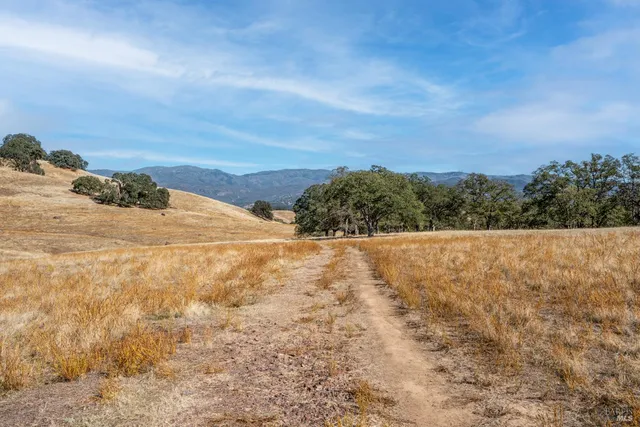 a view of yard with ocean view