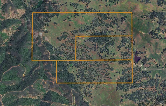 a view of a yard with plants and trees