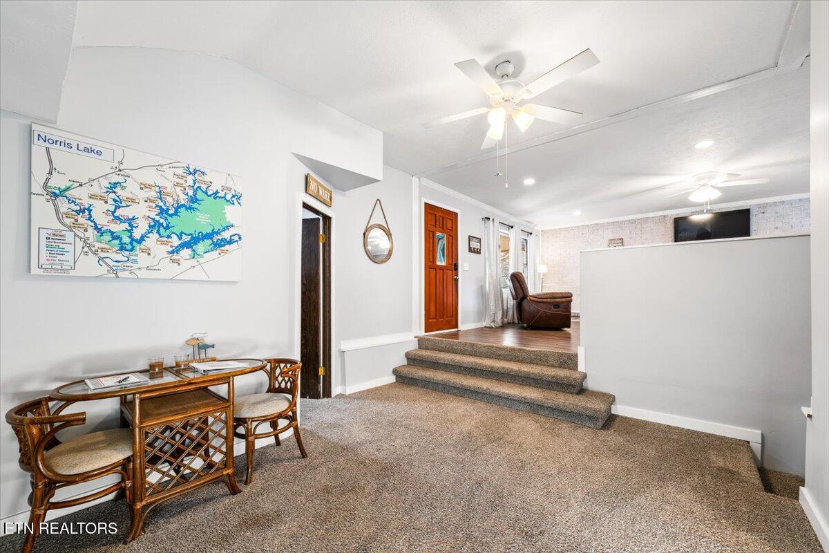 170 Bow Point Road La Follette, TN 37766 - Photo 11 of 38 11