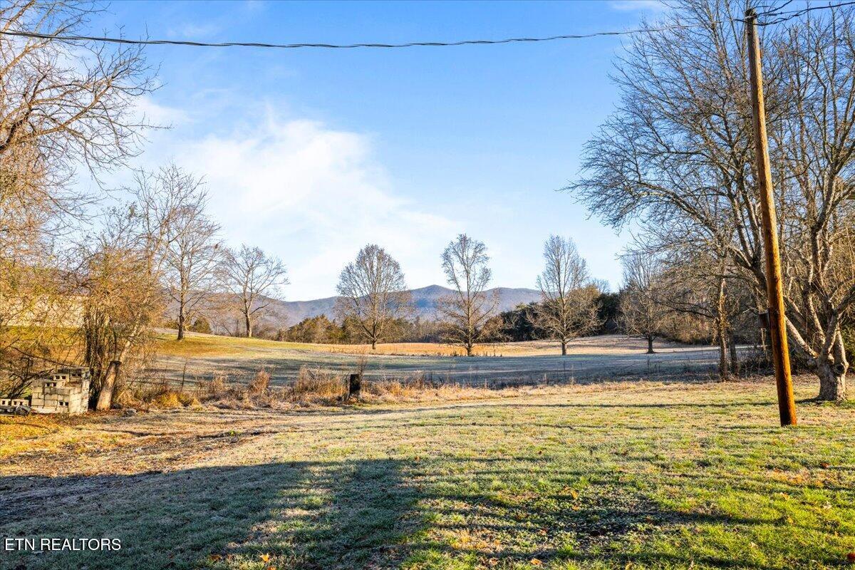 170 Bow Point Road La Follette, TN 37766 - Photo 20 of 38 18