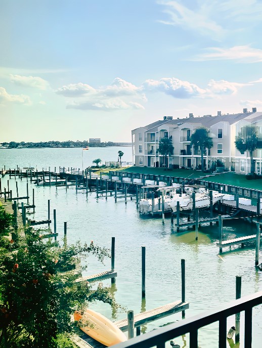a view of a lake with a city view