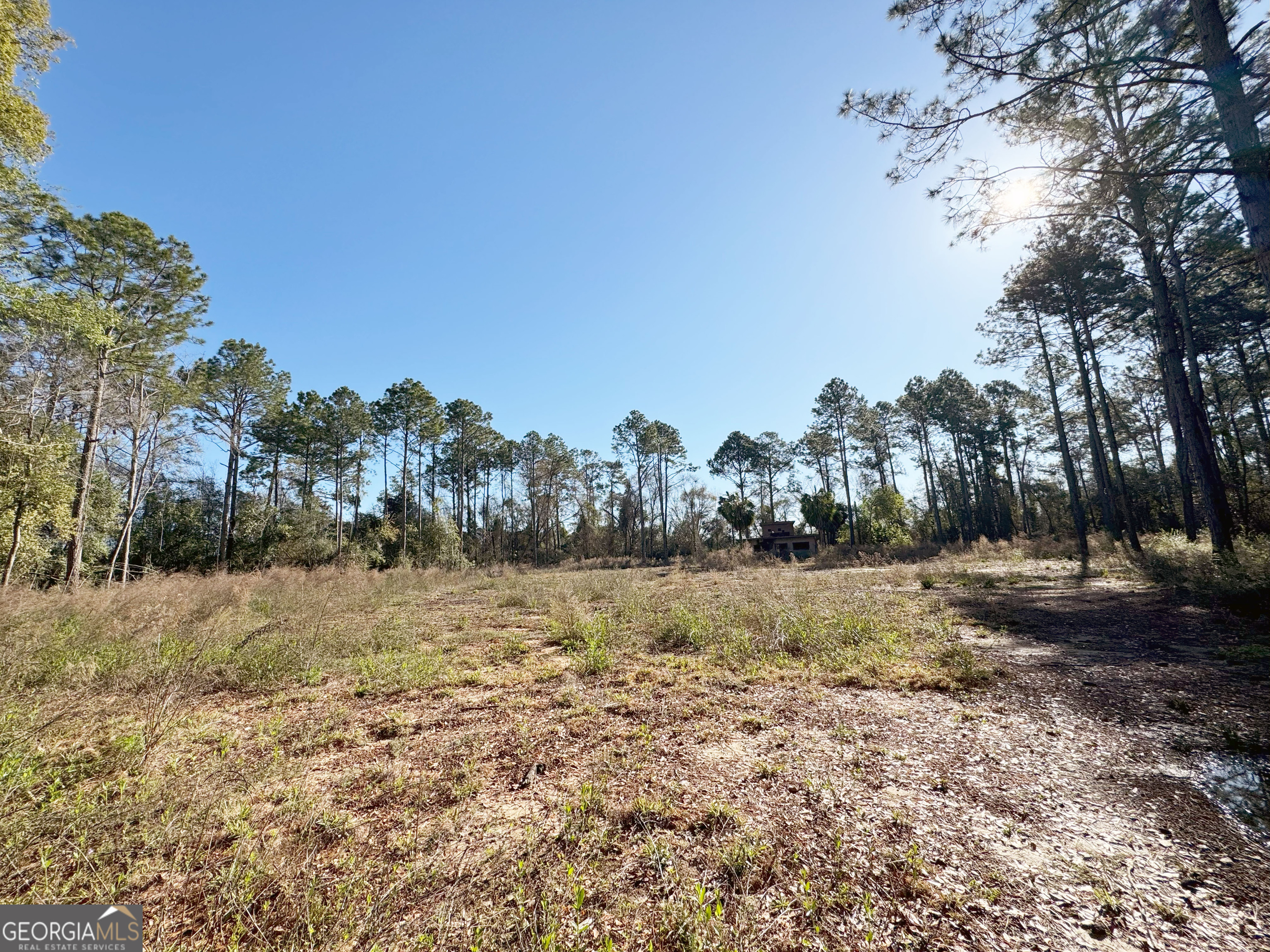 0 Old Ga Highway Pelham, GA 31779 - Photo 2 of 7 a view of dirt yard with a large tree