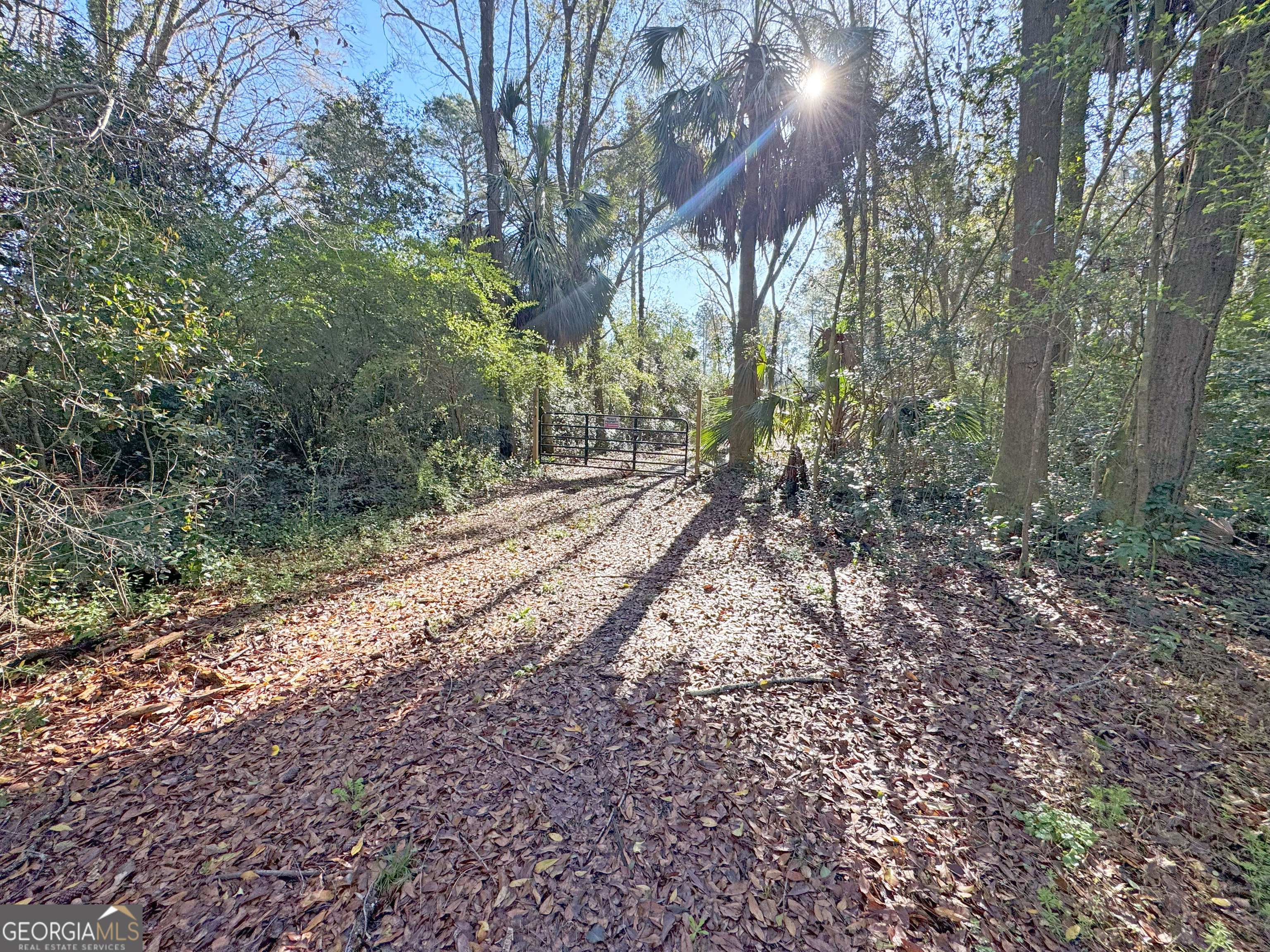 0 Old Ga Highway Pelham, GA 31779 - Photo 4 of 7 a backyard of a house with lots of green space