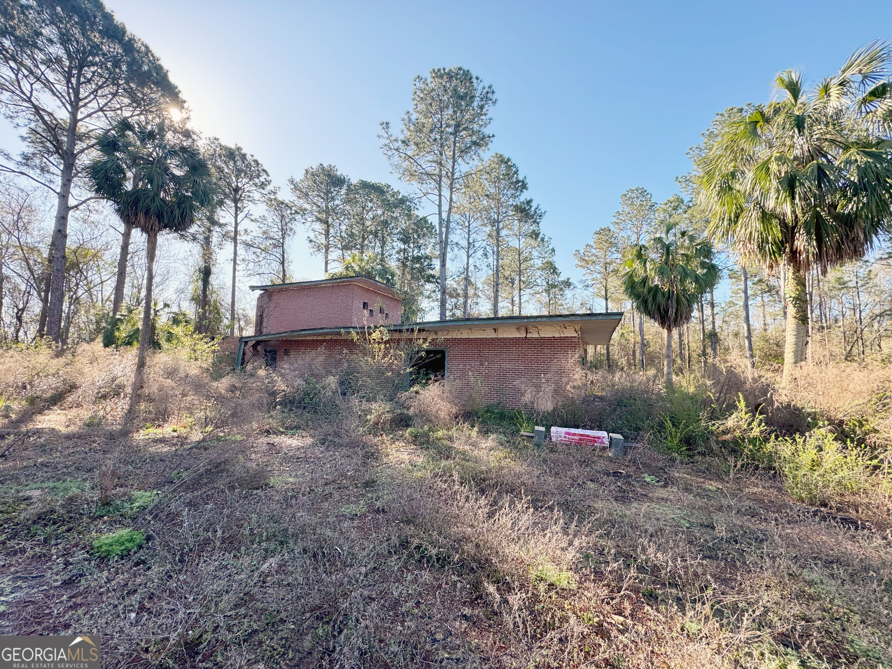 0 Old Ga Highway Pelham, GA 31779 - Photo 5 of 7 a backyard of a house with lots of green space