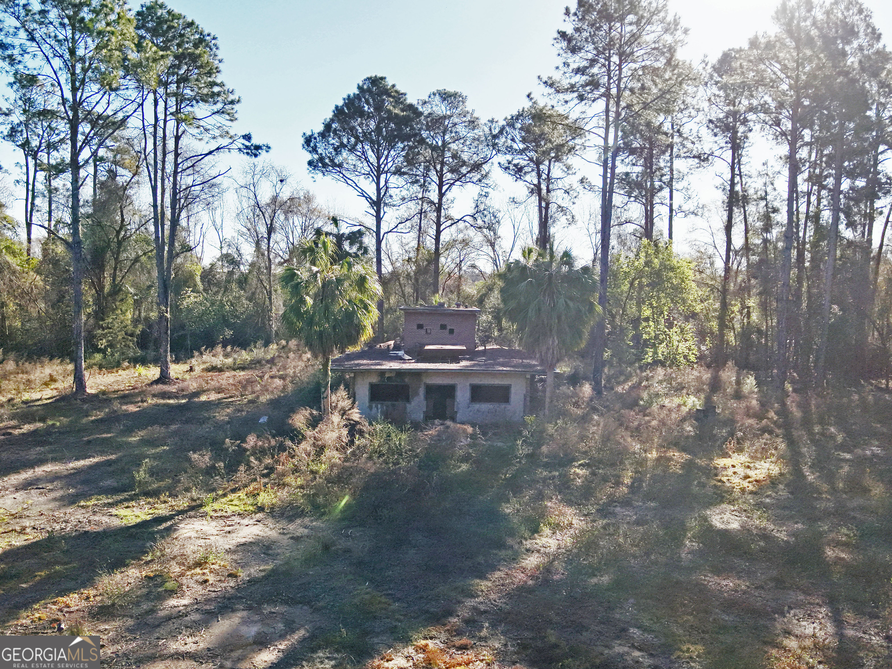 0 Old Ga Highway Pelham, GA 31779 - Photo 6 of 7 a backyard of a house with trees