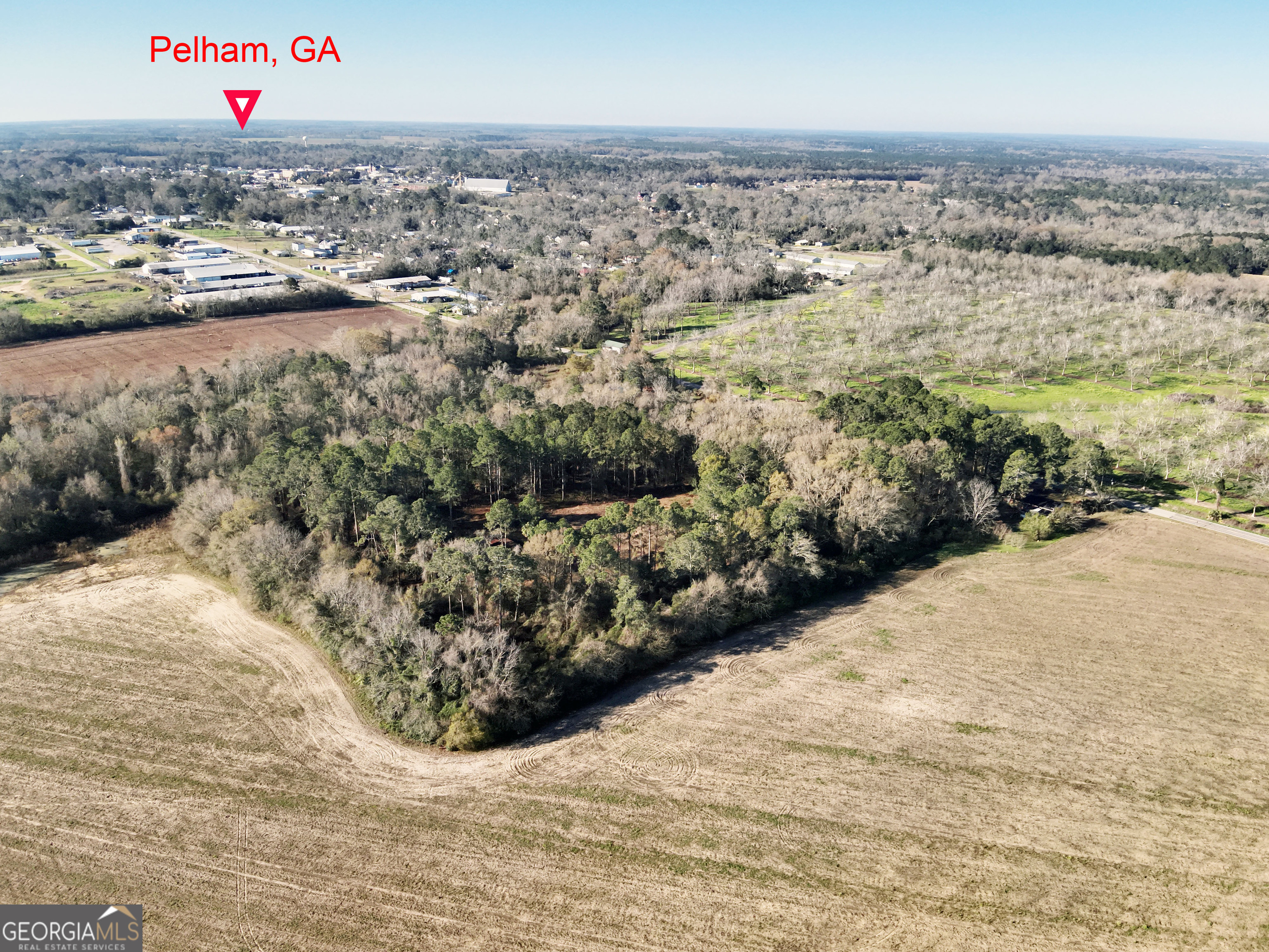 0 Old Ga Highway Pelham, GA 31779 - Photo 7 of 7