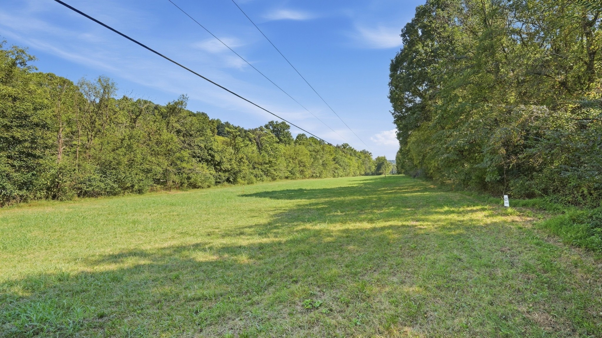 0 Opossum Paw Road Beechgrove, TN 37018 - Photo 10 of 22 Gallery Image 10
