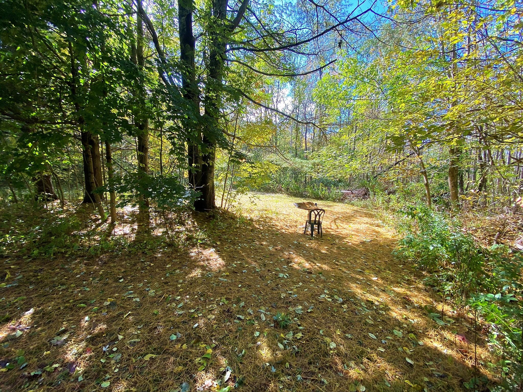 48 Timber Point Road Friendship, ME 04547 - Photo 13 of 13 back yard