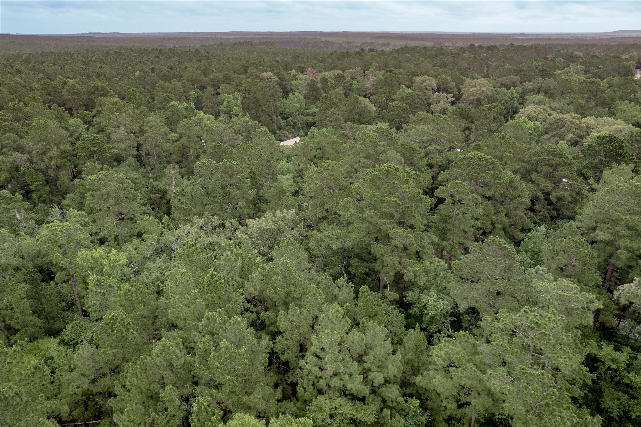 Lot 07 Oak Drive Trinity, TX 75862 - Photo 30 of 36