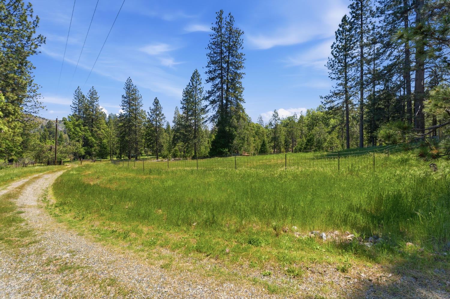 7019 Scott Road Mariposa, CA 95338 - Photo 65 of 77