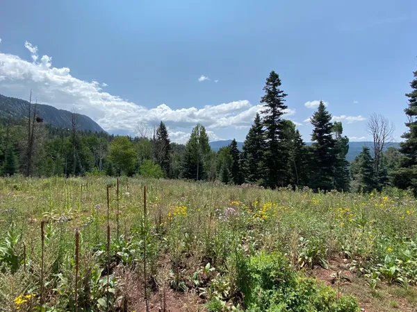 $72,500 | 0 Aspen Bluff, Unit 5, Chama, NM 87520