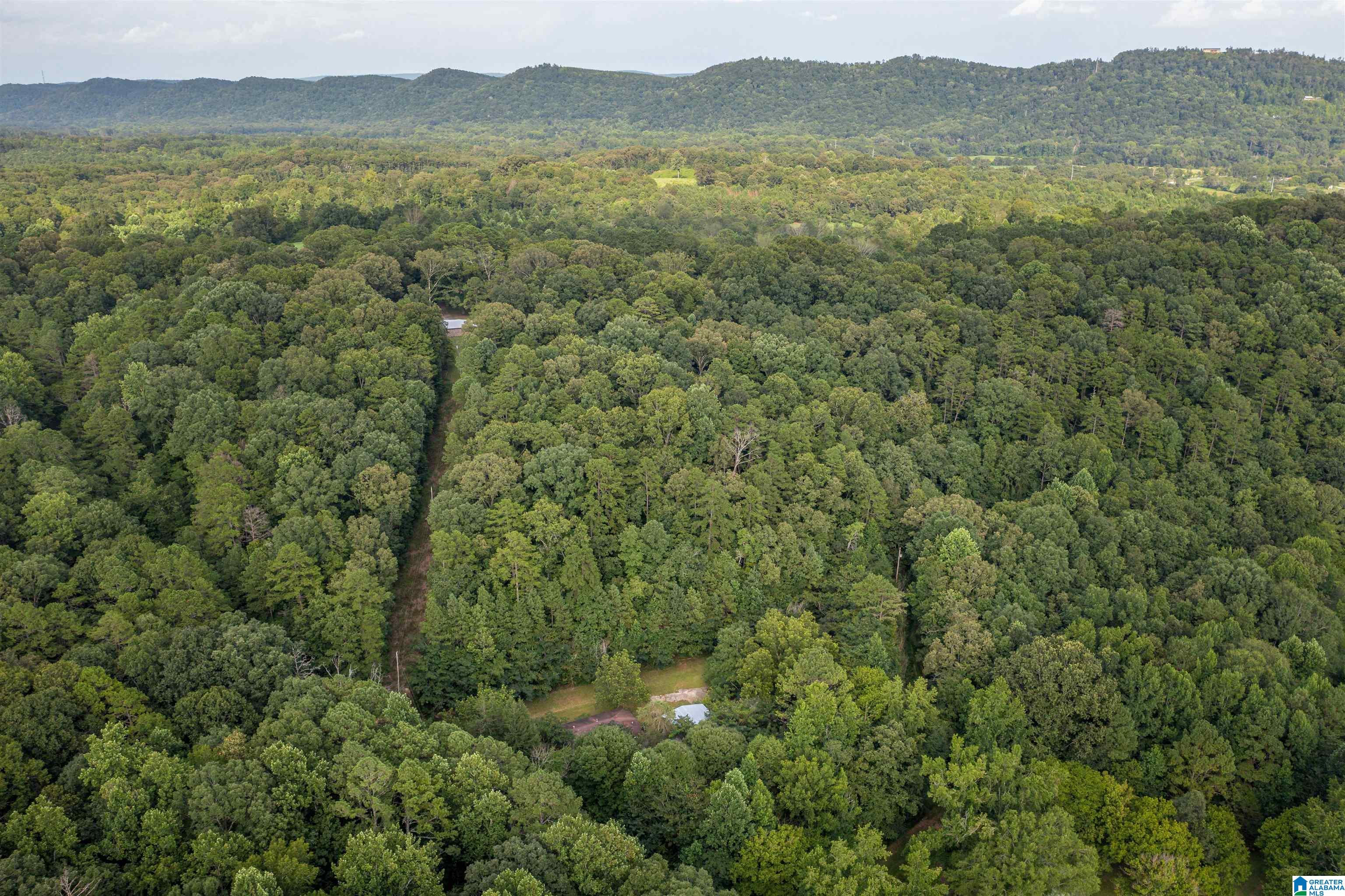 160 Mill Hill Road Attalla, AL 35954 - Photo 2 of 26